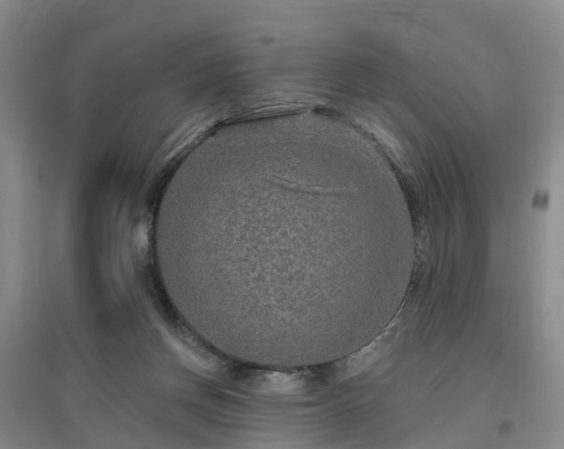 X0000096990166200802151400