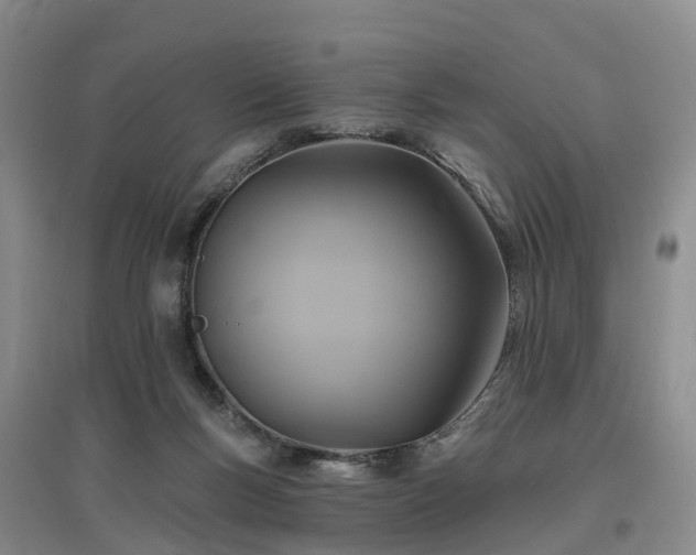 X0000096990167200802151400