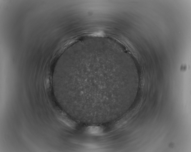 X0000096990169200802151400