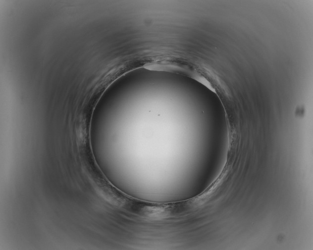 X0000096990170200802151400