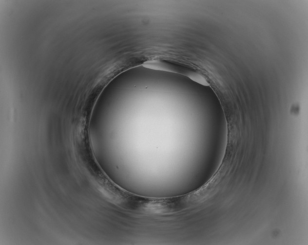 X0000096990171200802151400