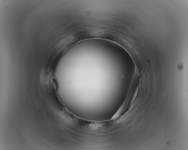 X0000096990172200802151400