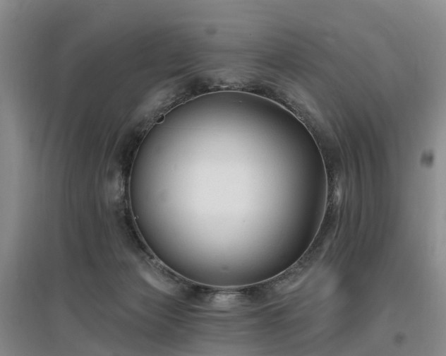 X0000096990173200802151400