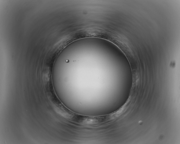 X0000096990174200802151400