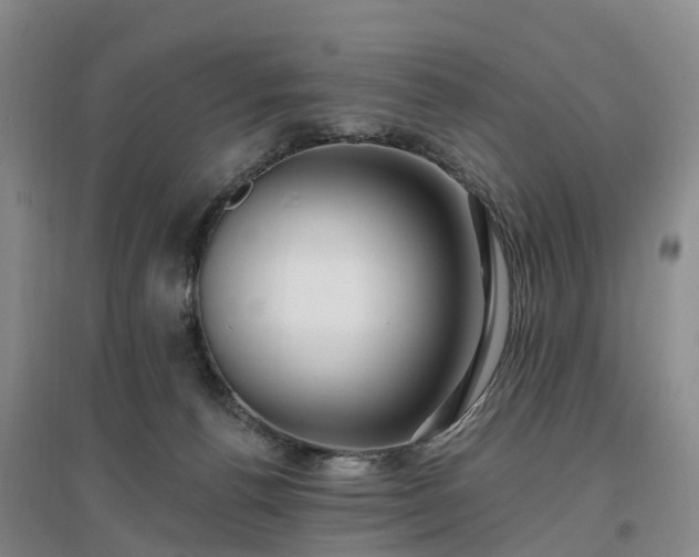 X0000096990176200802151400