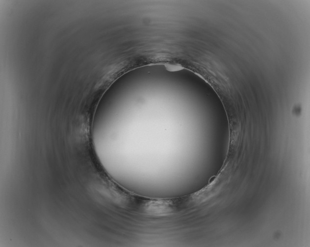 X0000096990179200802151400