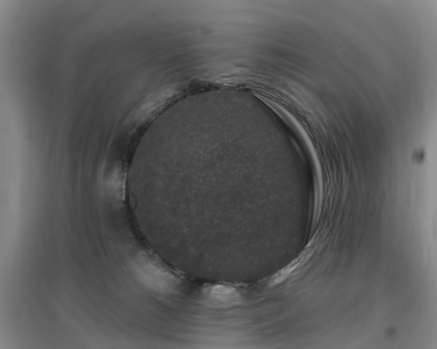 X0000096990180200802151400
