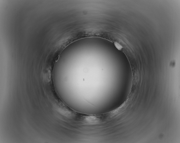 X0000096990183200802151400