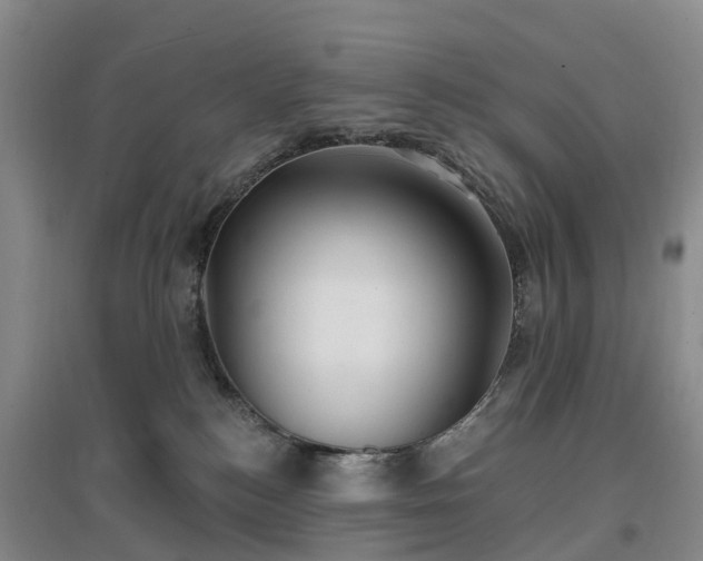 X0000096990184200802151400
