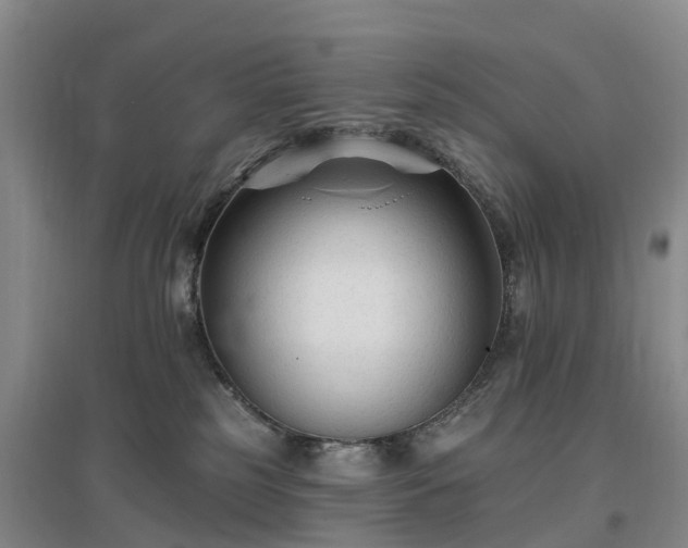 X0000096990185200802151400