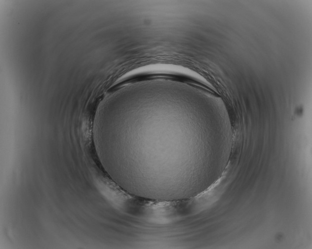 X0000096990186200802151400