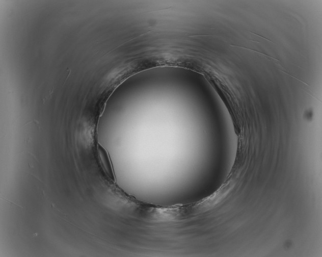 X0000096990188200802151400