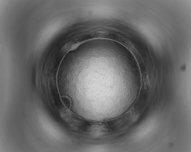 X0000096990189200802151400