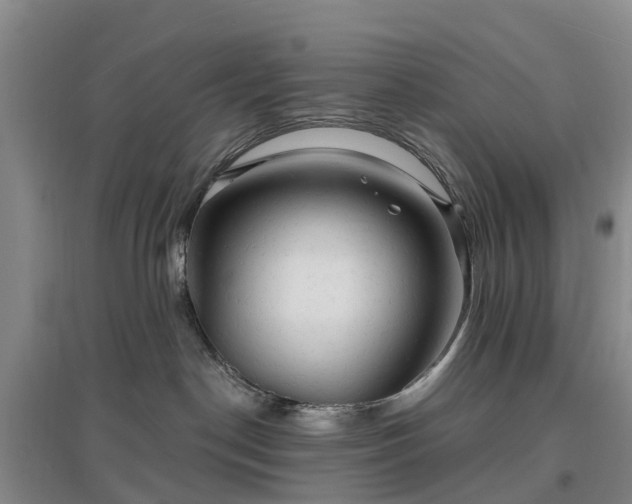 X0000096990190200802151400