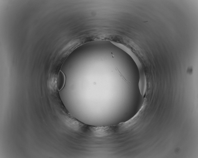 X0000096990191200802151400