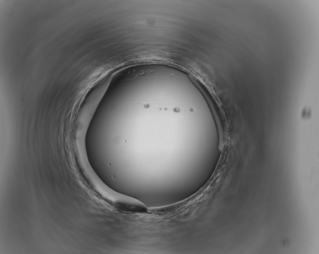 X0000096990193200802151400