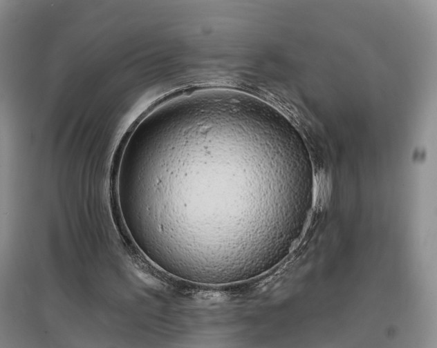 X0000096990195200802151400