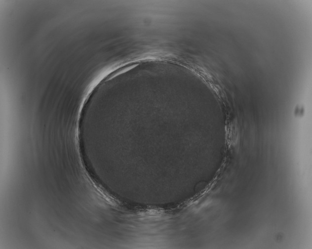 X0000096990196200802151400
