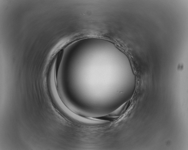 X0000096990197200802151400