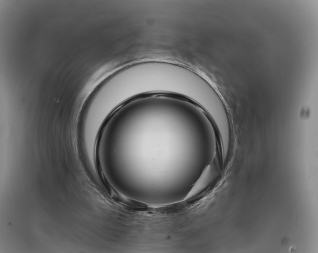 X0000096990199200802151400