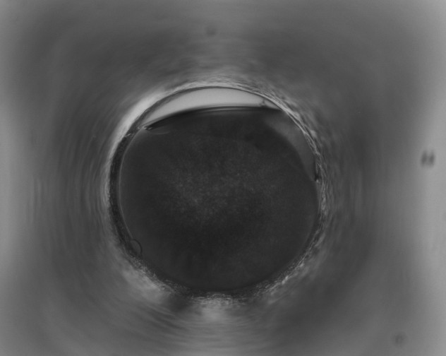 X0000096990200200802151400