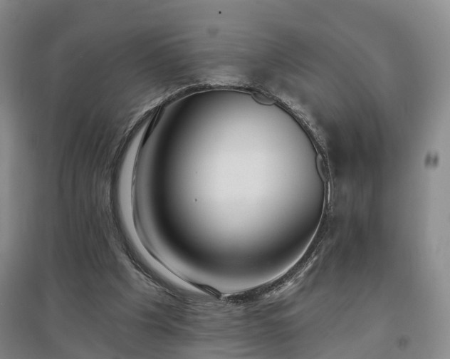 X0000096990201200802151400