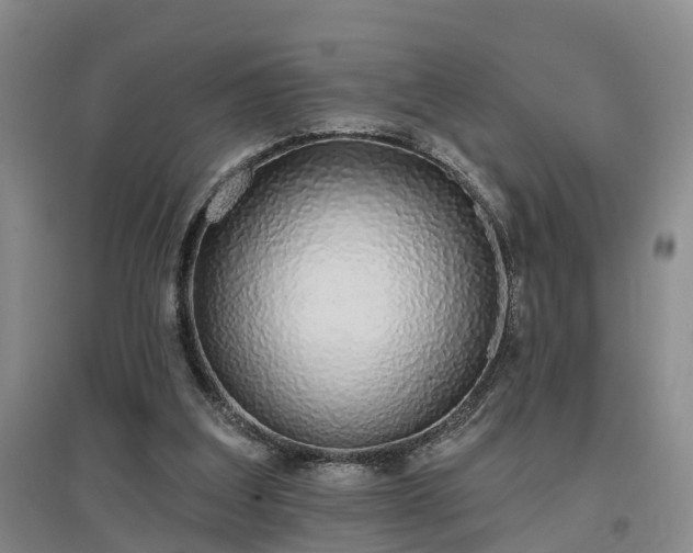 X0000096990203200802151359