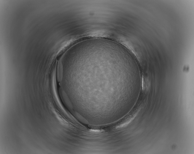 X0000096990205200802151359