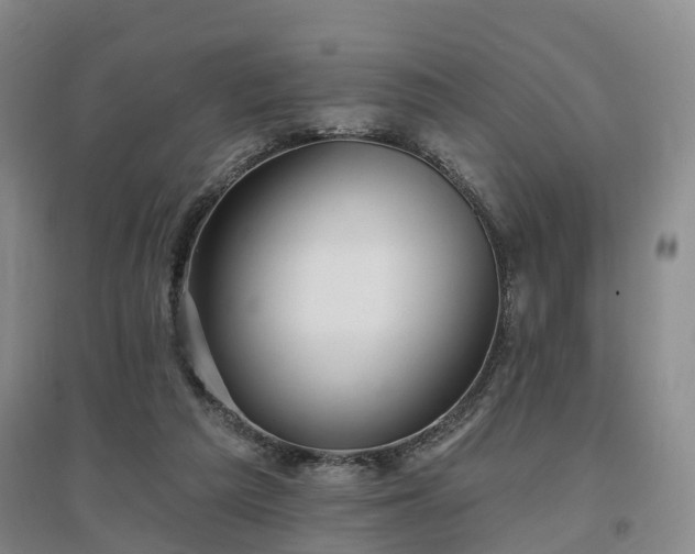 X0000096990209200802151359