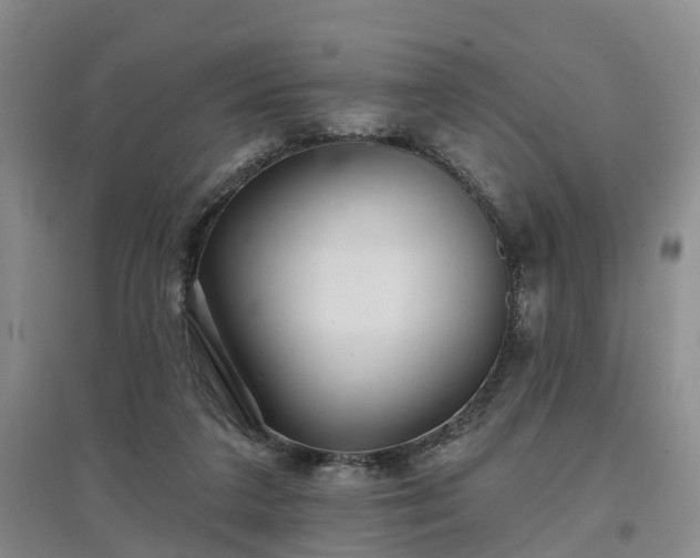 X0000096990211200802151359