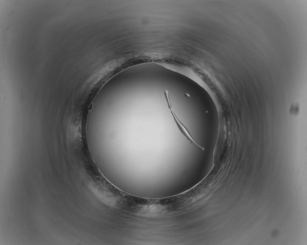 X0000096990212200802151359