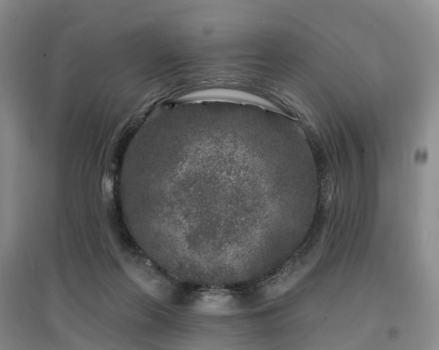X0000096990214200802151359
