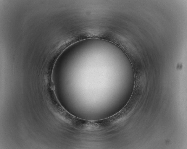 X0000096990215200802151359