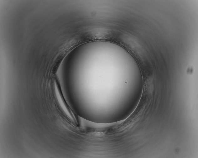 X0000096990217200802151359