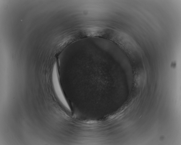 X0000096990219200802151359