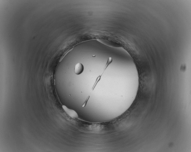 X0000096990225200802151359