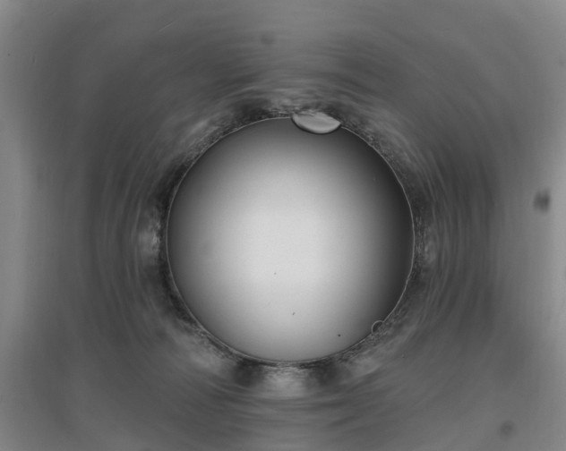 X0000096990226200802151359