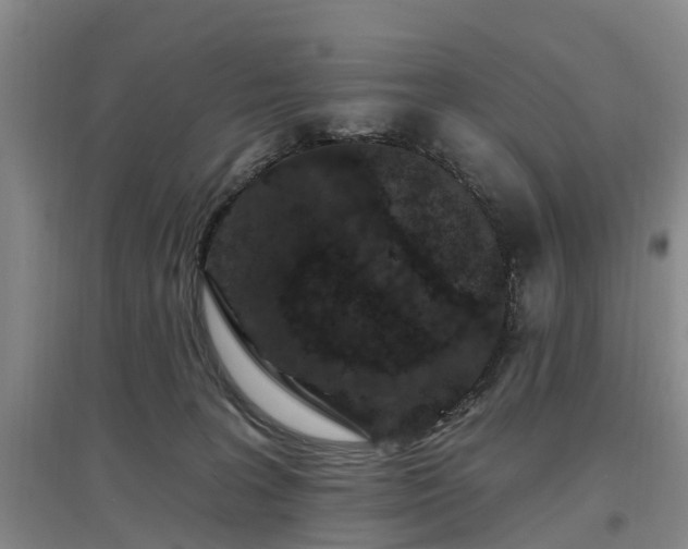 X0000096990227200802151359