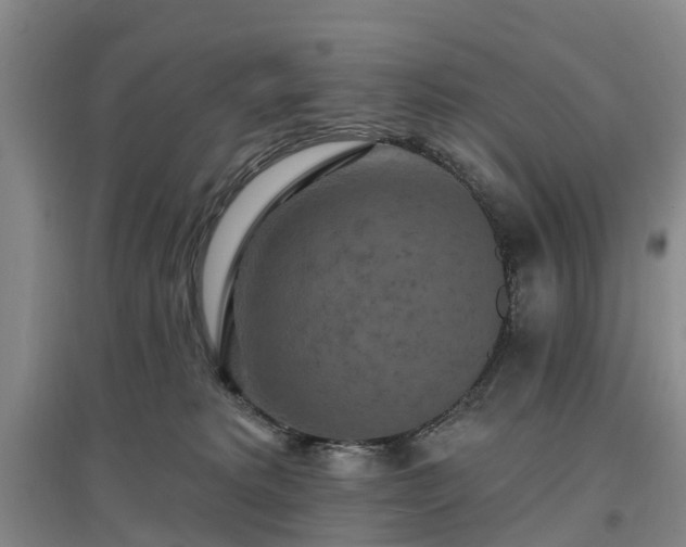 X0000096990229200802151359