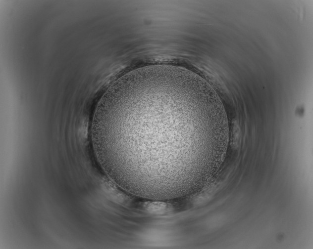 X0000096990230200802151359