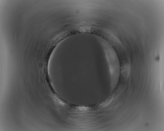 X0000096990233200802151359