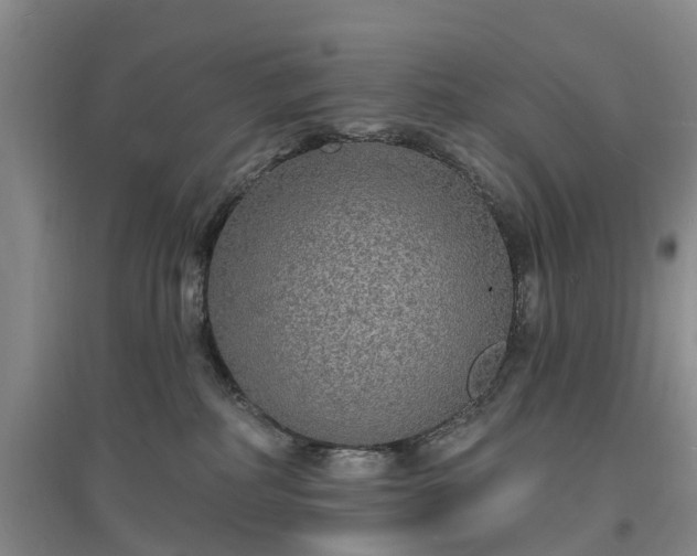 X0000096990234200802151359