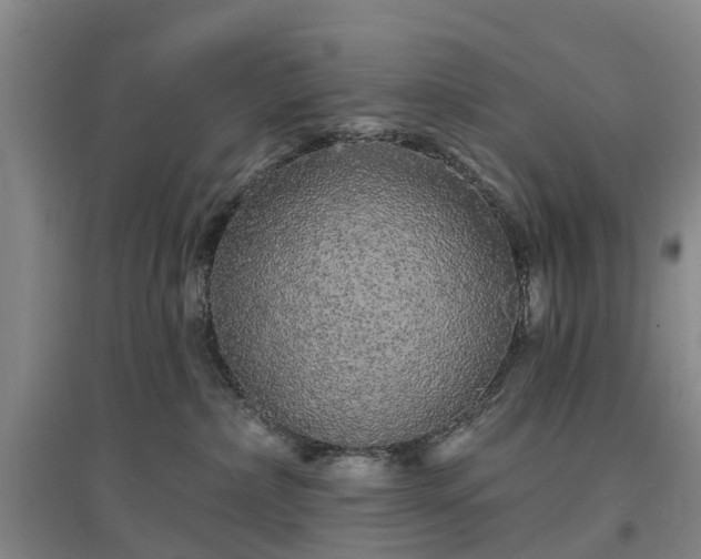 X0000096990236200802151359