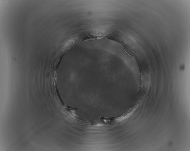 X0000096990237200802151359