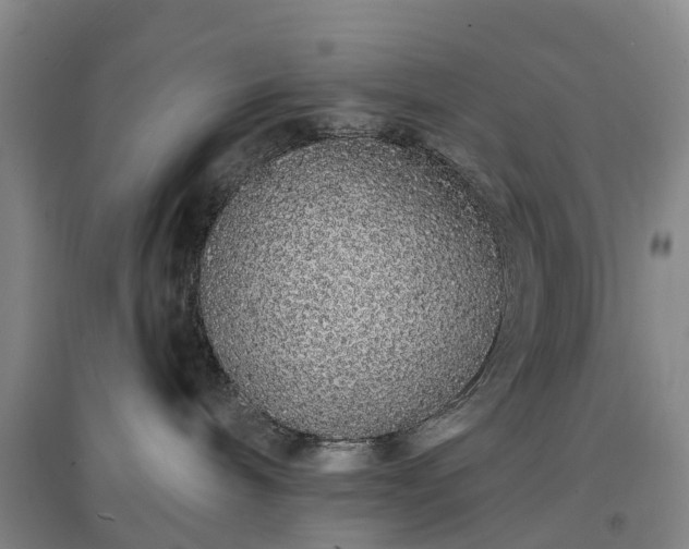 X0000096990240200802151359