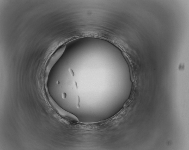 X0000096990241200802151358