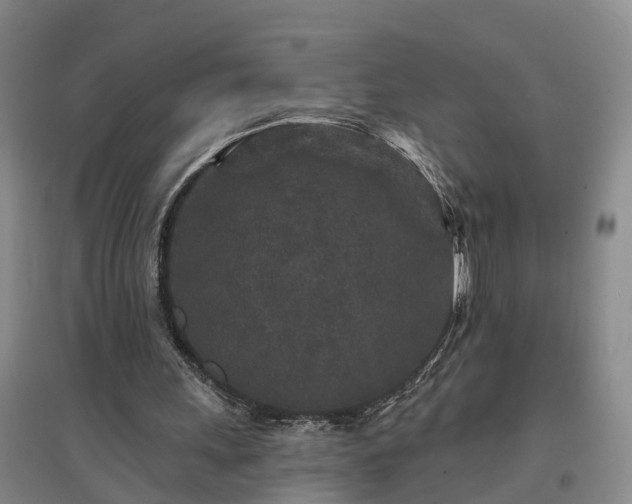 X0000096990243200802151358