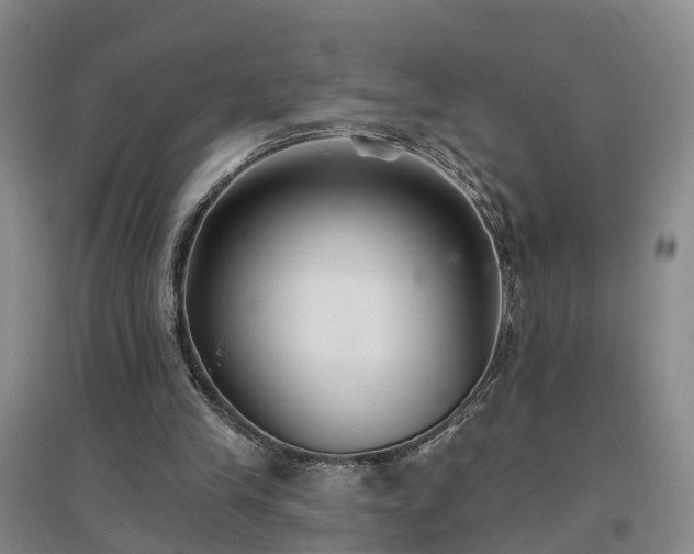 X0000096990245200802151358