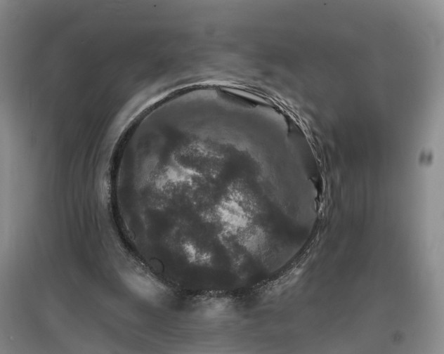 X0000096990247200802151358