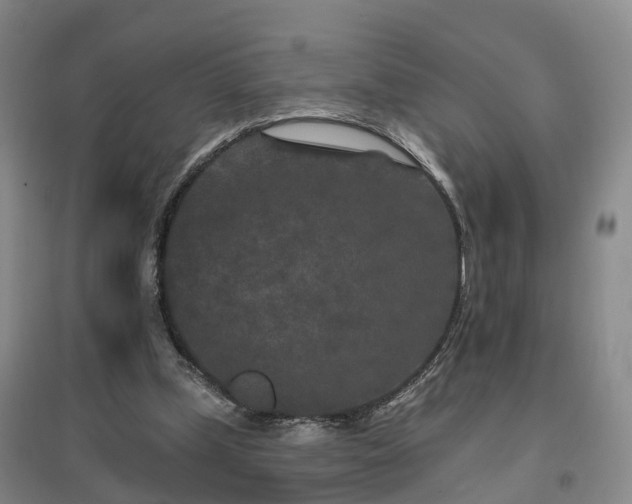 X0000096990249200802151358